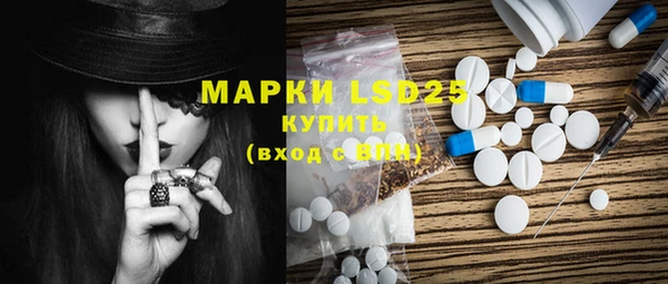 ECSTASY Алзамай