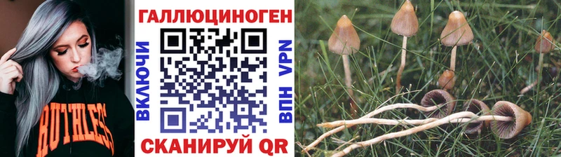 Псилоцибиновые грибы GOLDEN TEACHER Медынь